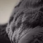 Atraminė skaitymo pagalvė Pompom Bedrest Antracite