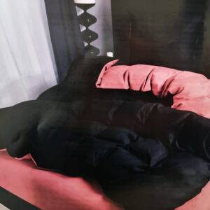 Dvigulis 220x200 cm patalynės komplektas + paklodė su guma ( H04)